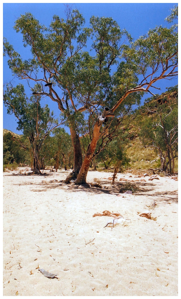 02 - Australie (7).jpg